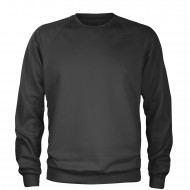 Blacked Sweatshirts Raglan Sleeve Wholesale